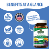 Nature's Answer - Bilberry Vision Complex Plus Lutein - 60 Vegetarian Capsules