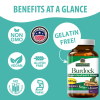 Nature's Answer - Burdock Root - 90 Vegetarian Capsules