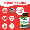 Nature's Answer - Butcher's Broom Root - 90 Vegetarian Capsules