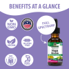 Nature's Answer - Hops Strobile Extract - 1 Fl Oz