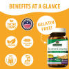Nature's Answer - Korean Ginseng Root - 50 Vegetarian Capsules