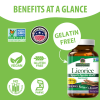 Nature's Answer - Licorice Root - 90 Vegetarian Capsules