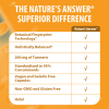 Nature's Answer - Turmeric-3 - 90 Vegetarian Capsules