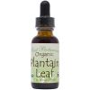 Organic Plantain Leaf Extract 1 Oz