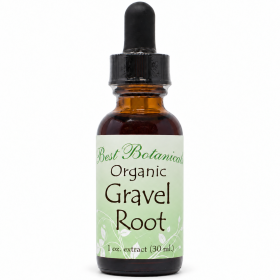 Organic Gravel Root Extract 1 Oz