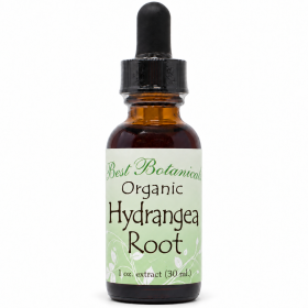 Organic Hydrangea Root Extract 1 Oz