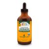 Herb Pharm - Child's Echinacea Glycer - 1 Each-1 Fz