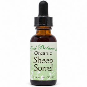 Organic Sheep Sorrel Extract 1 Oz