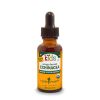Herb Pharm - Child's Echinacea Glycer - 1 Each-1 Fz