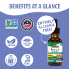 Nature's Answer - Kava 6 Extract - Alcohol Free - 1 Oz