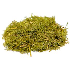 Brigham Tea Herb (Form: Cut, size: 4 oz)