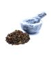 Male Fern Herb