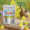Mullein Leaf