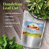 Dandelion Leaf