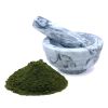 Chlorella