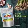 Garlic Bulb