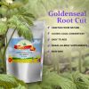 Goldenseal Root