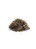 Gotu Kola Herb