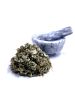 Red Raspberry Leaf