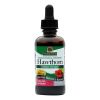 Nature's Answer Hawthorn Berry, Leaf & Flower Extract